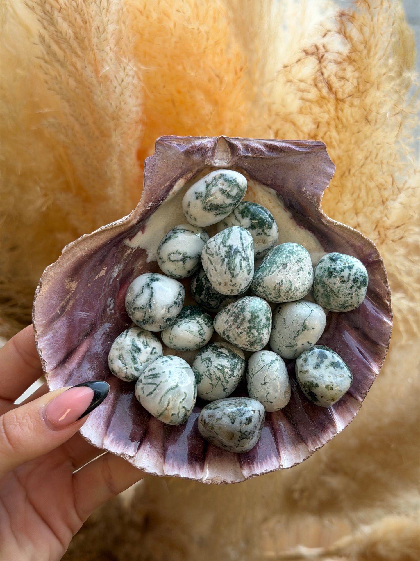 Tree Agate