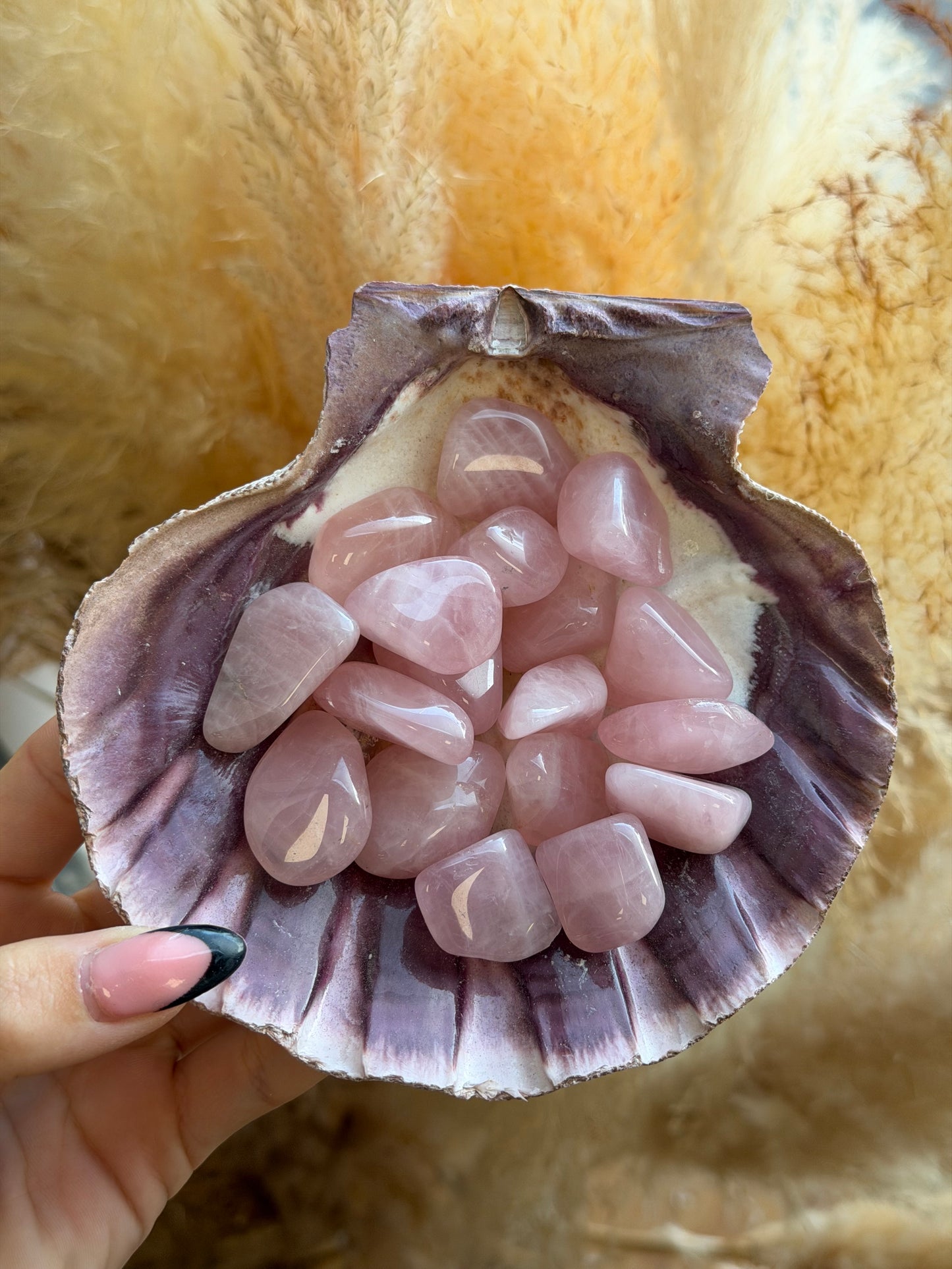 Rose Quartz