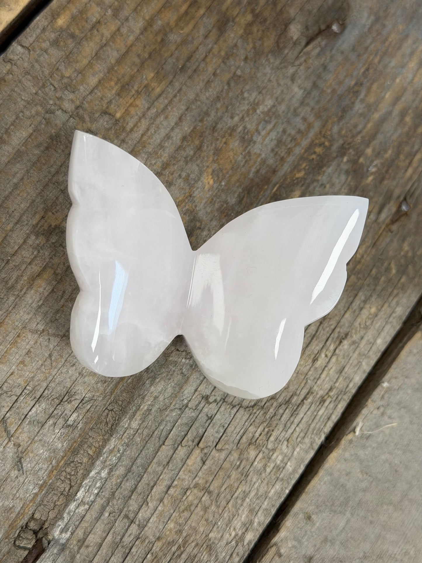 Pink Mangano Butterfly