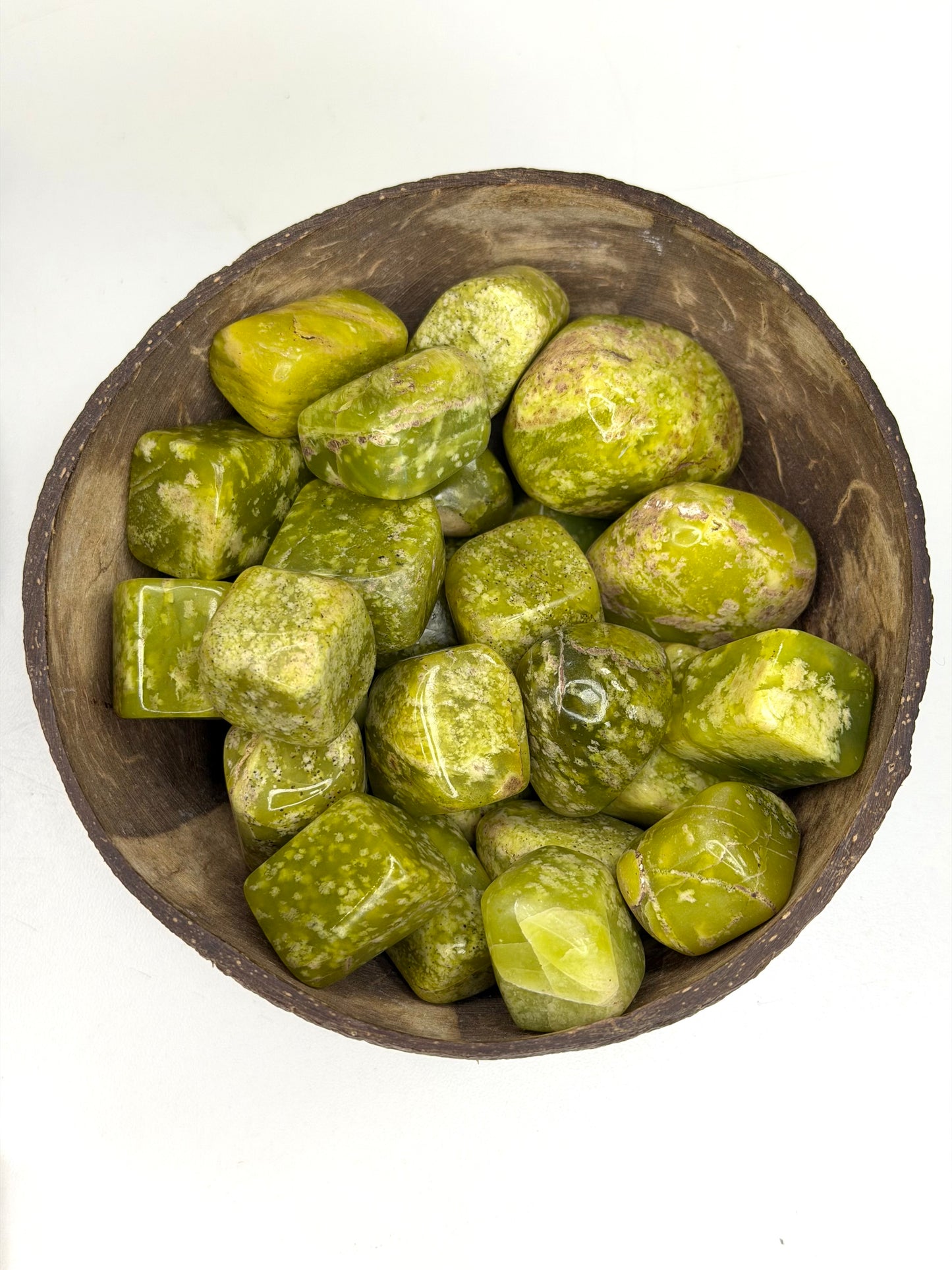 Lizard Serpentine Tumbles