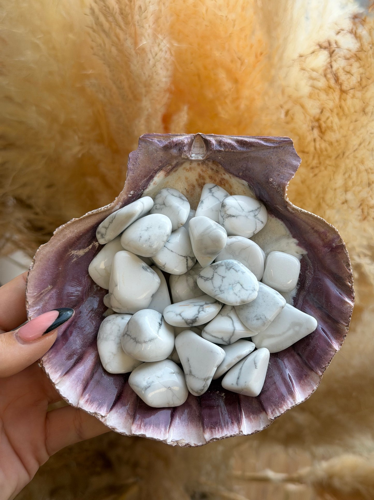 Howlite