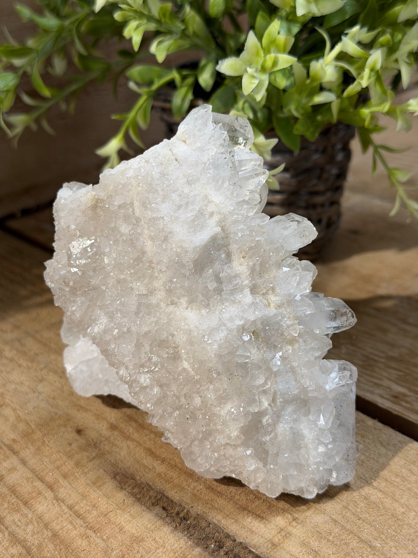 Clear Quartz Cluster