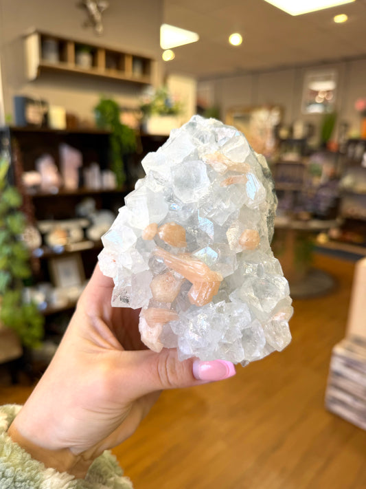 Apophyllite Cluster