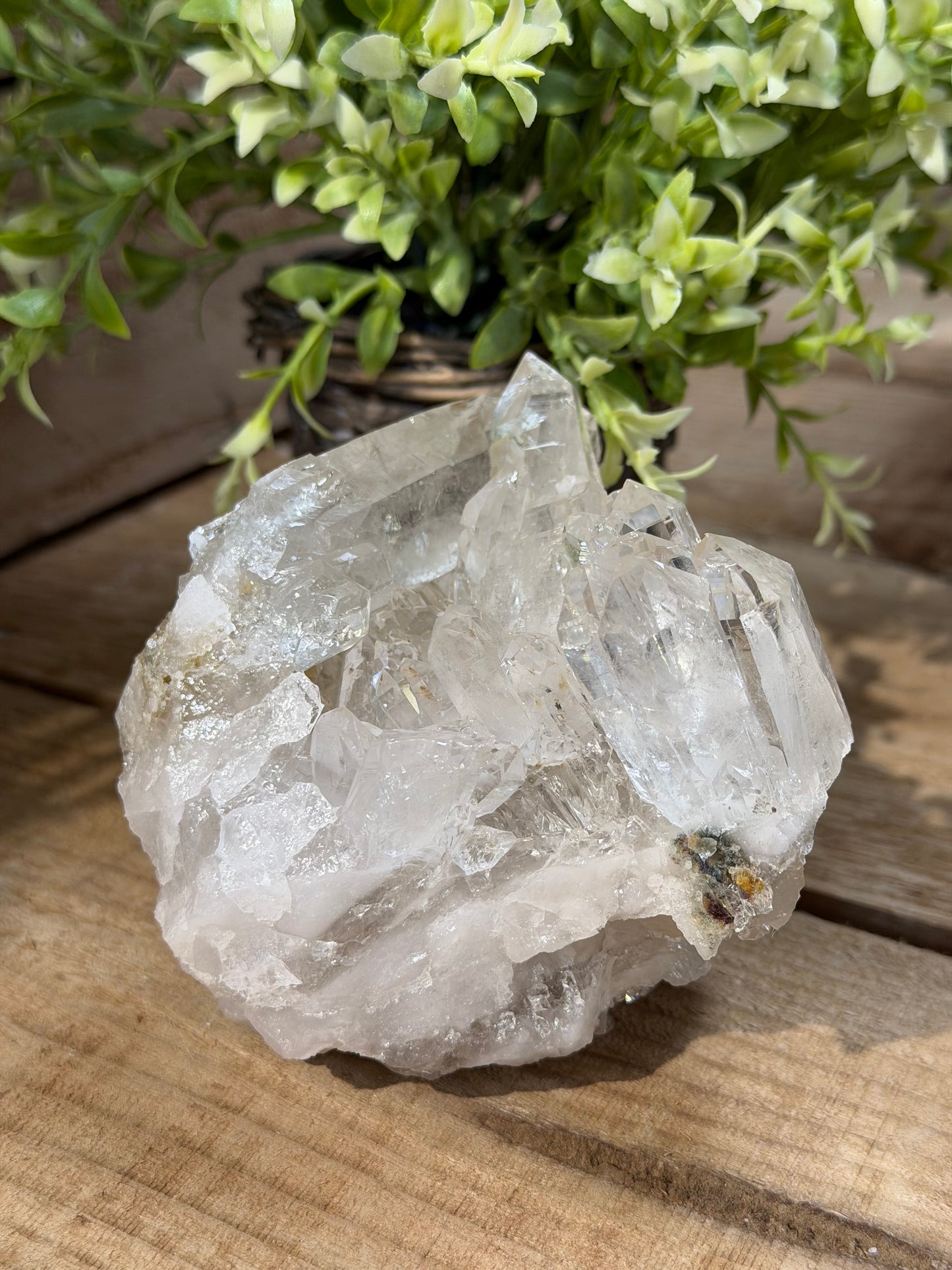 Clear Quartz Cluster