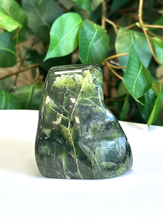 Nephrite Jade Freeform