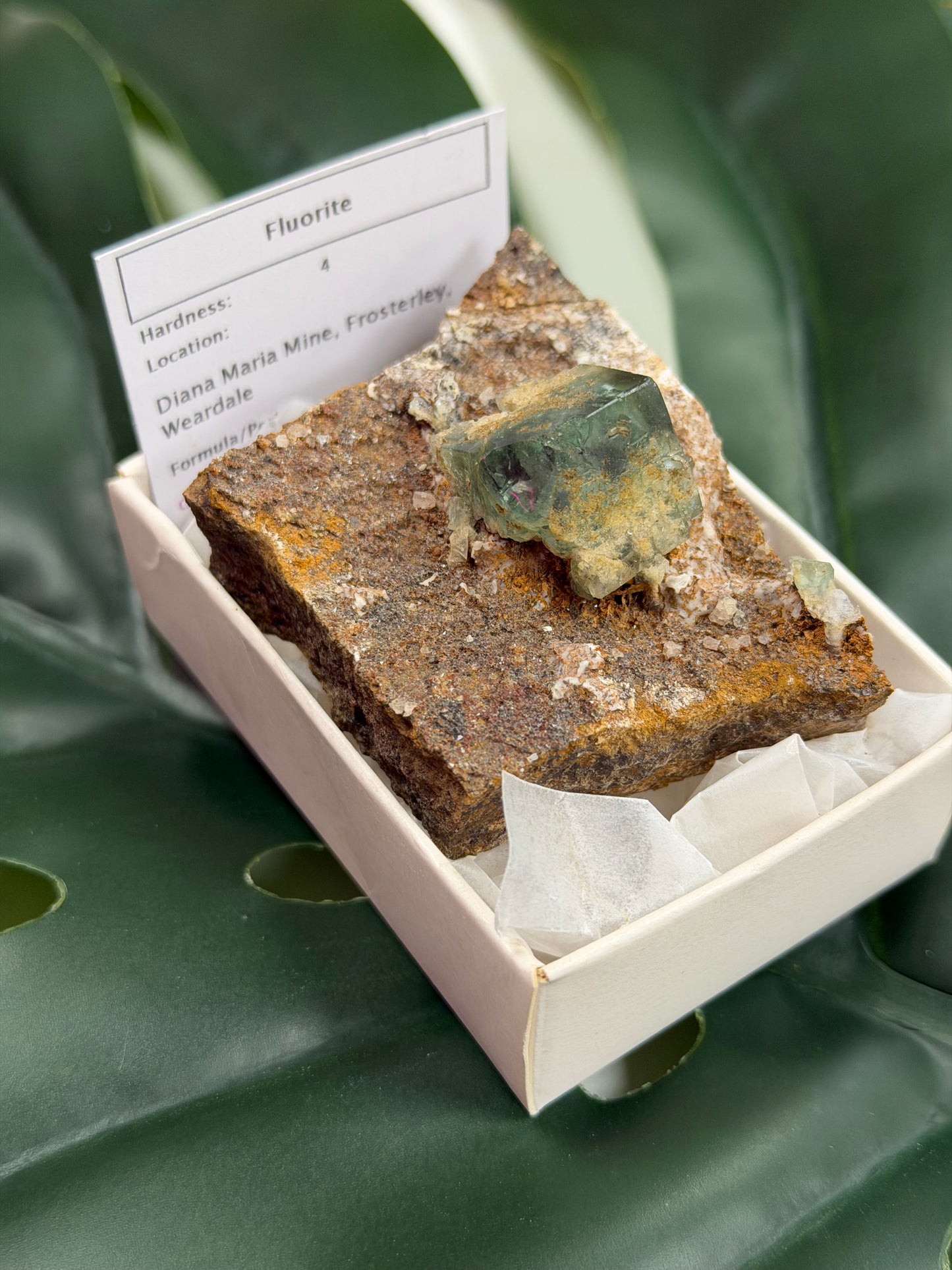 Fluorite Specimen