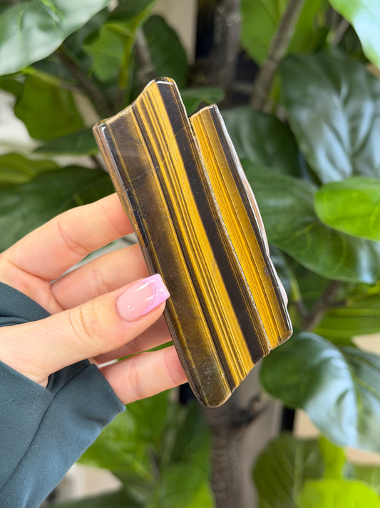 Tigers Eye Slice (with Stand)