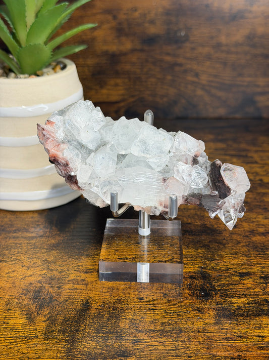 Apophyllite Mini Stand