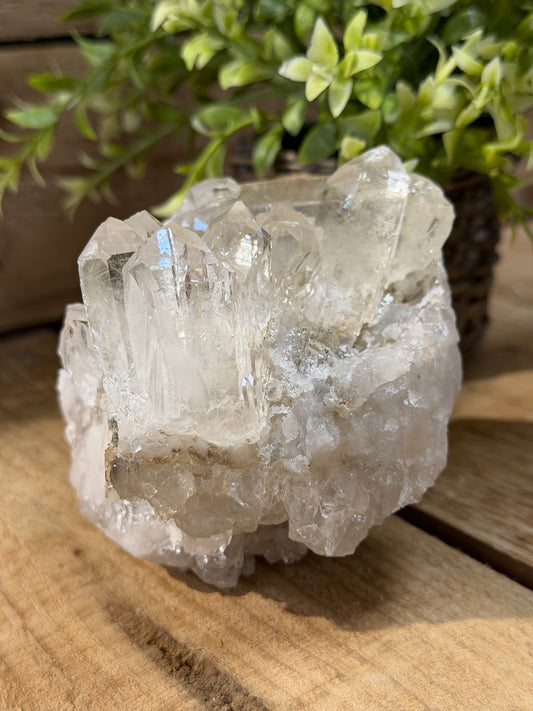 Clear Quartz Cluster