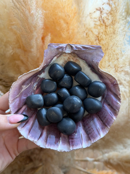 Shungite