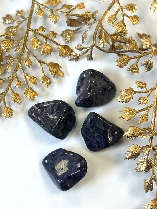 Purple Dalmatian Jasper