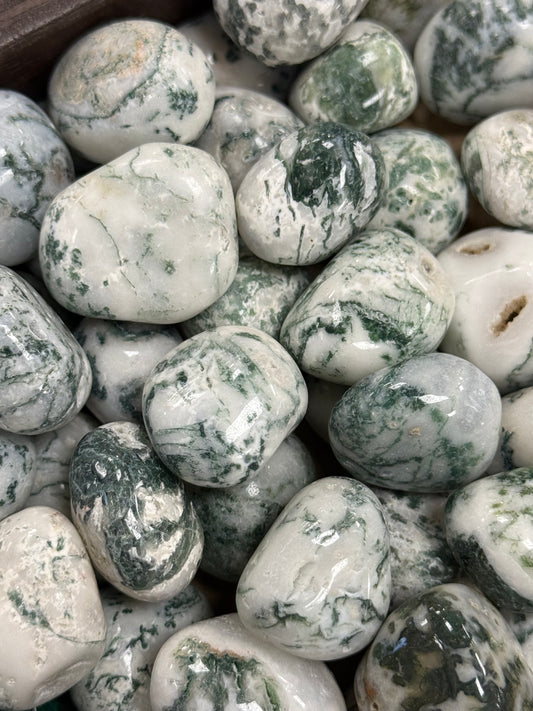 Tree Agate