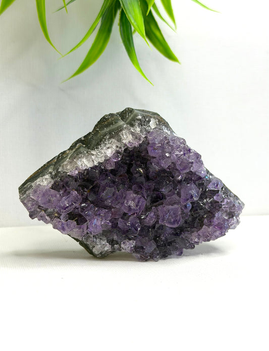 Amethyst Cluster