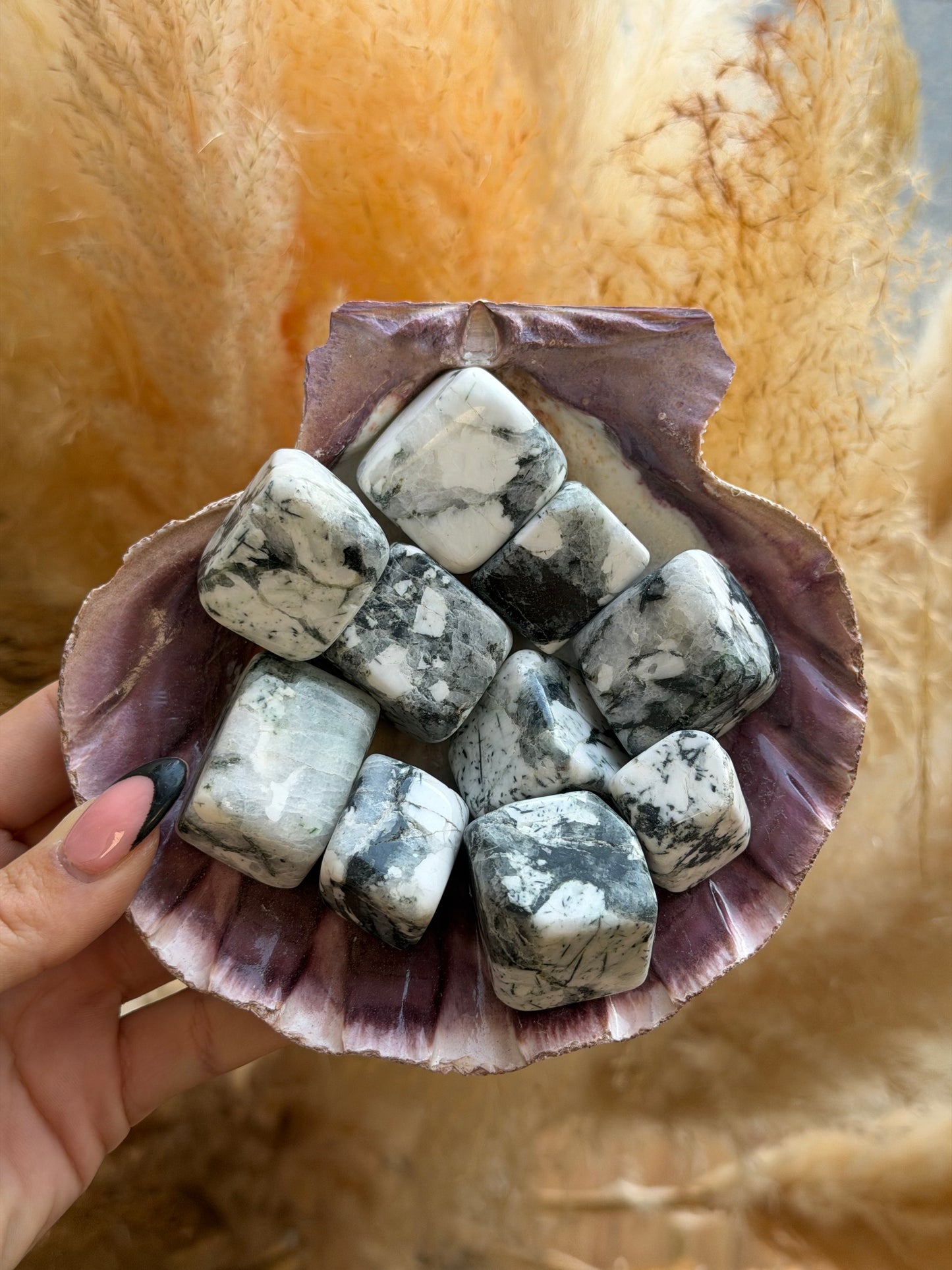 Tourmaline & Quartz