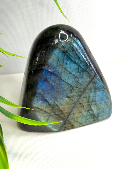 Labradorite Freeform
