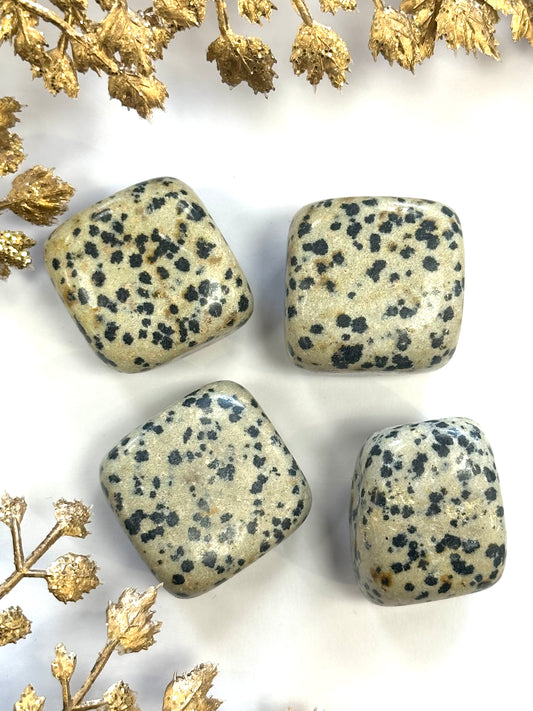 Large Dalmatian Jasper