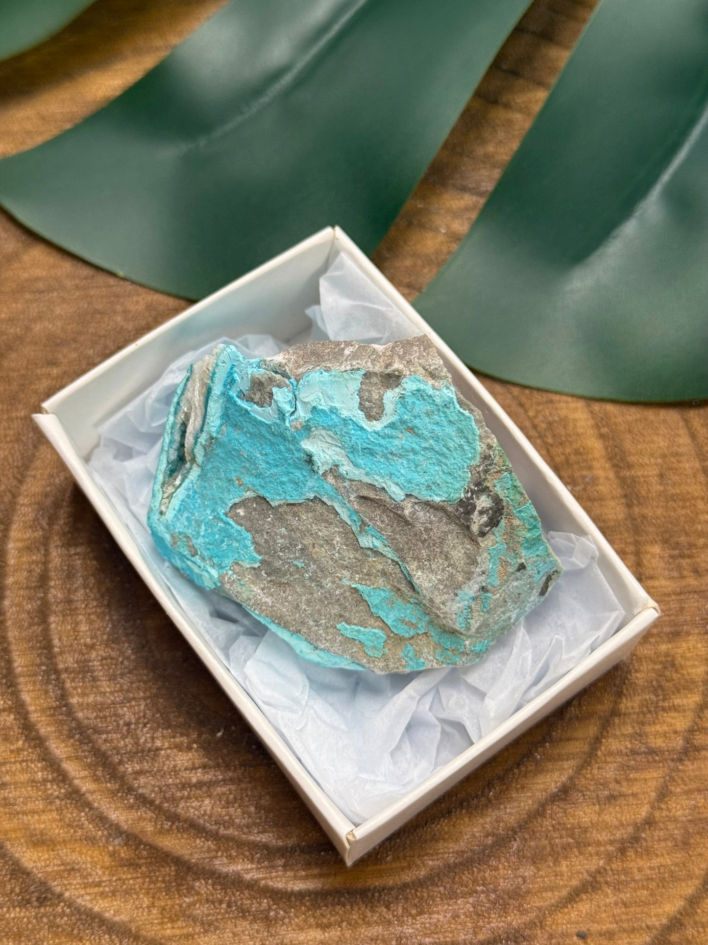 Chrysocolla Specimen