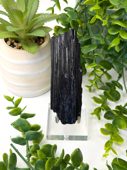 Large Black Tourmaline on Stand