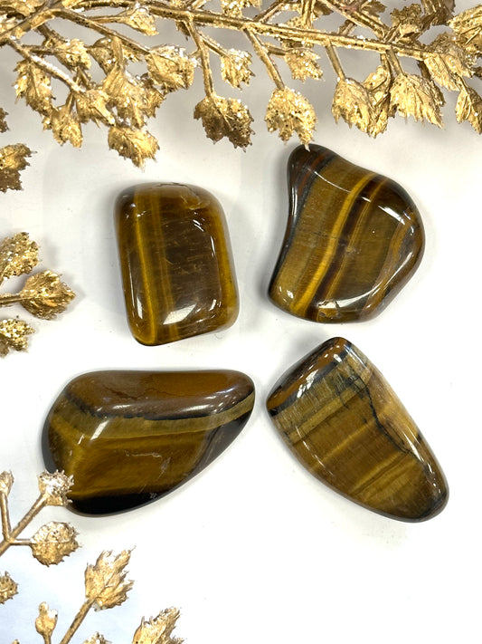 Tigers Eye