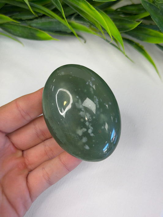 Jade Palm Stone