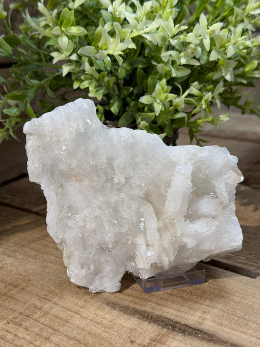 Clear Quartz Cluster
