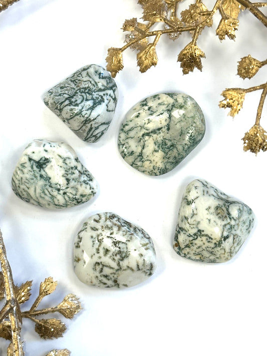 Tree Agate