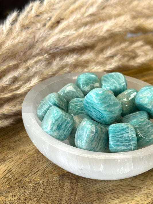 Selenite Fossil Bowl