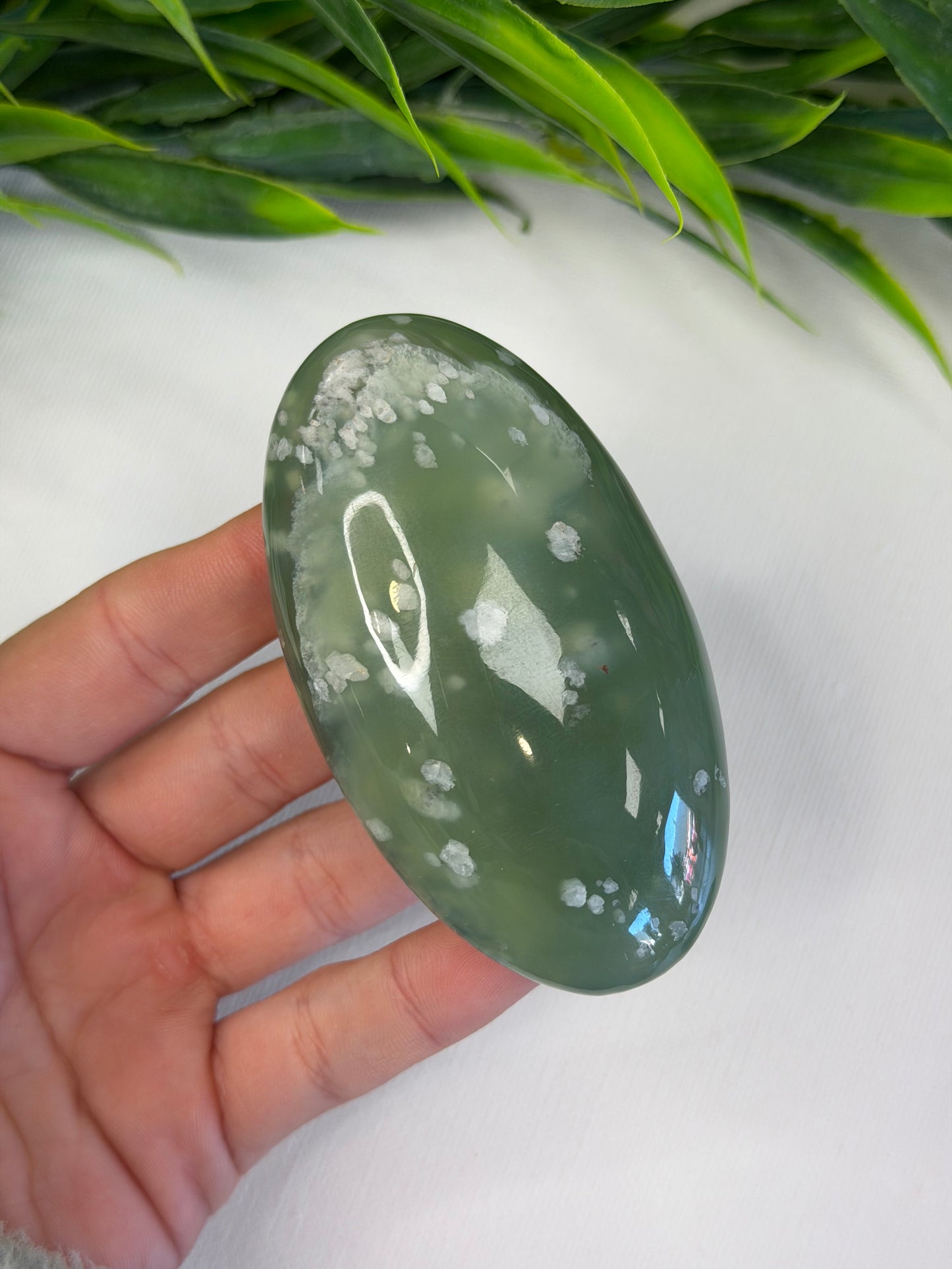 Jade Palm Stone