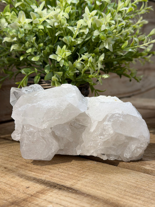 Clear Quartz Cluster