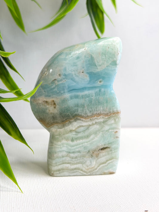 Caribbean Calcite Freeform