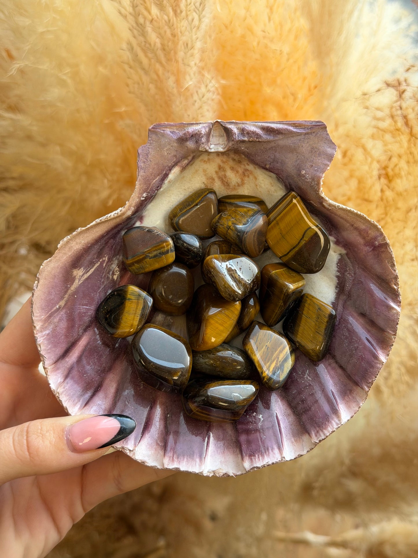 Tigers Eye