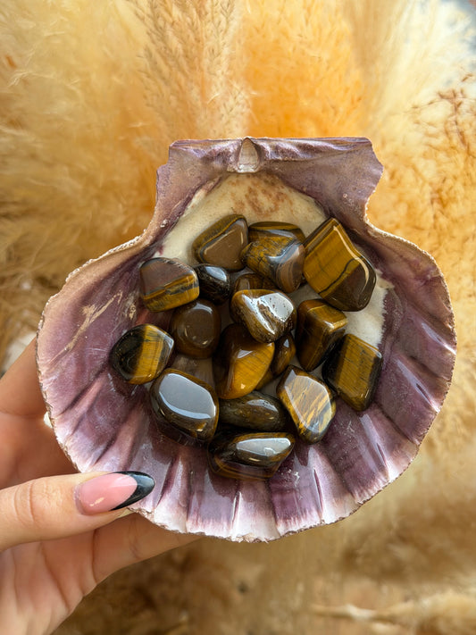 Tigers Eye