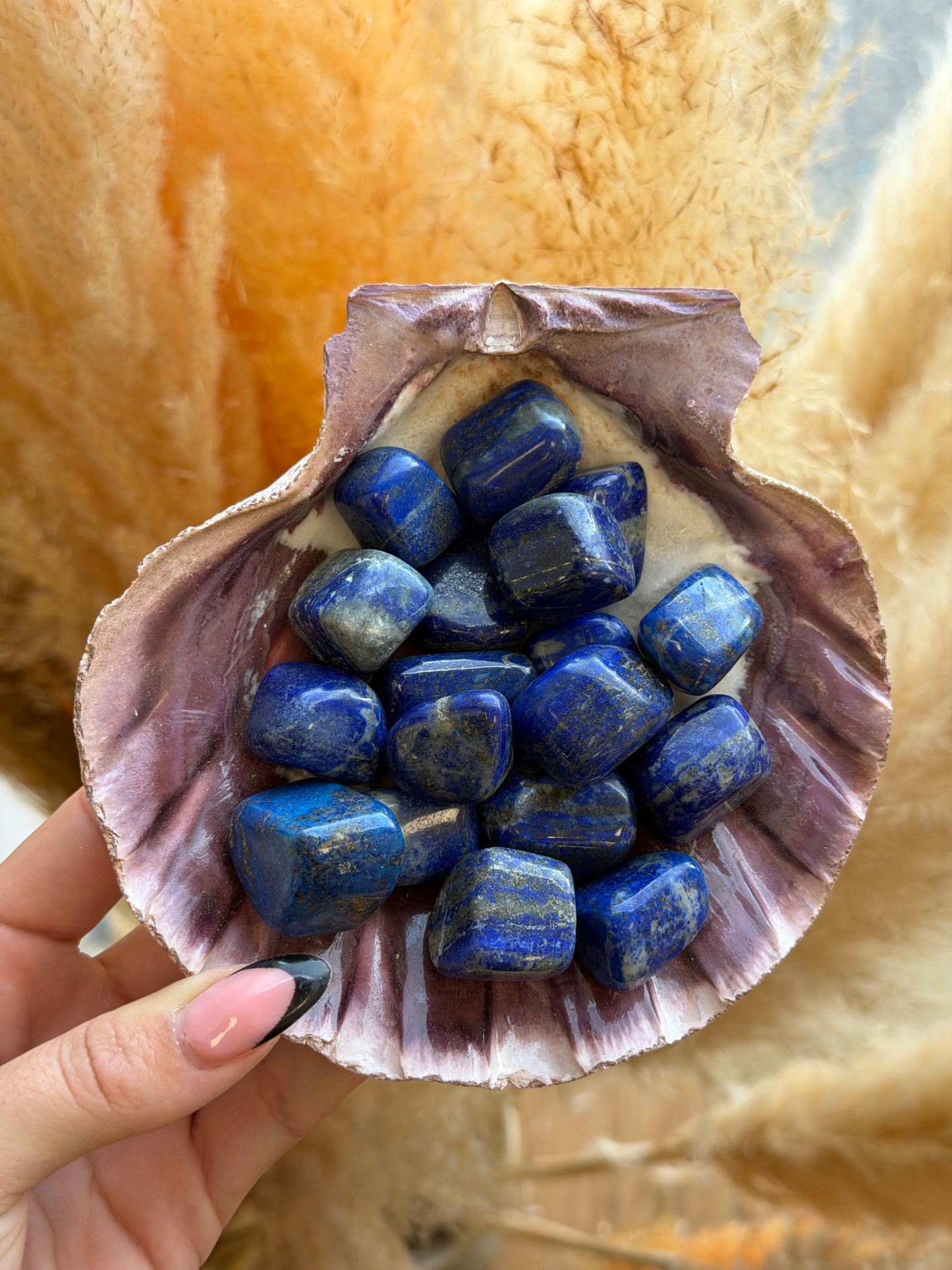 Lapis Lazuli