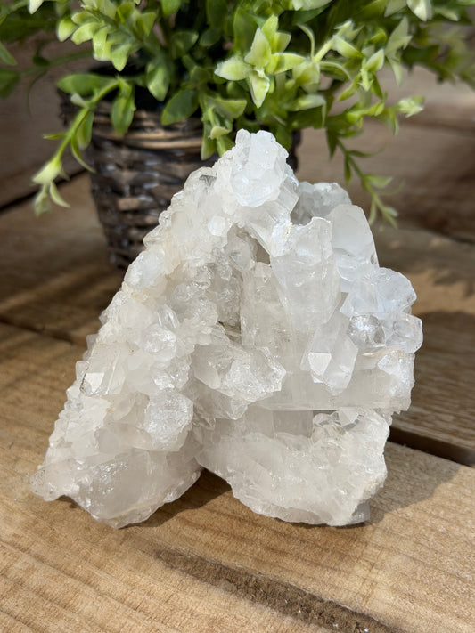 Clear Quartz Cluster